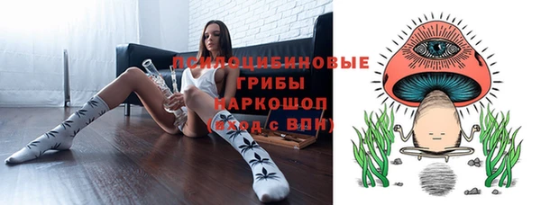 spice Нязепетровск