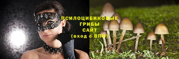 ПСИЛОЦИБИНОВЫЕ ГРИБЫ Ельня