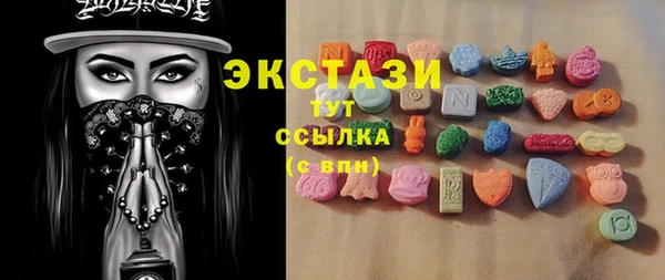 сатива Новозыбков