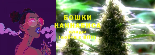 spice Нязепетровск