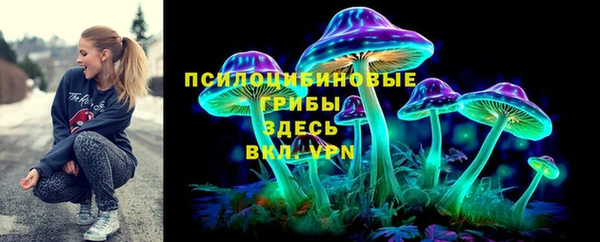 spice Нязепетровск