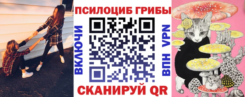 Псилоцибиновые грибы Psilocybe darknet какой сайт Краснослободск наркотики blacksprut как войти
